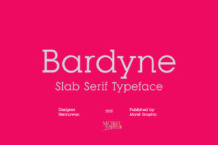 Bardyne Font: A Quirky Slab Serif for Creative Branding Projects