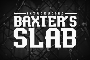 Baxter s Slab Review: A Versatile Typeface for Creative Branding